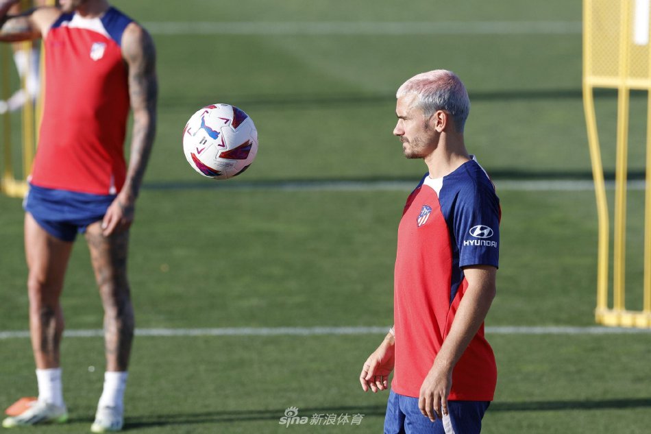 高自身综合 高自身综合